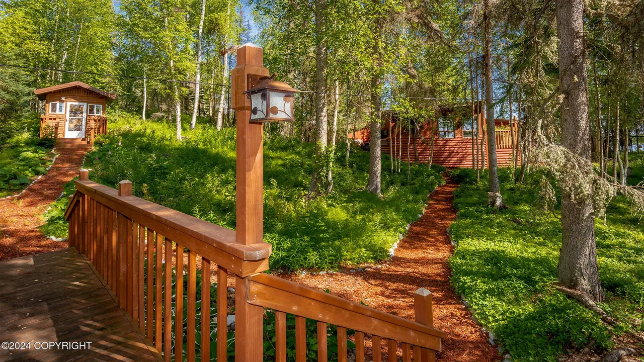 Mulched paths winding through birch forest connecting cabins