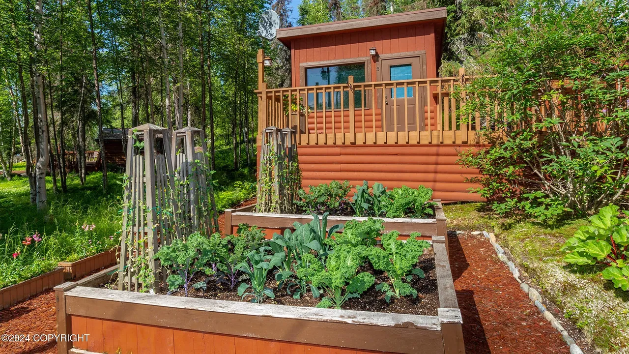 Raised-bed garden growing kale and greens in front of a cabin